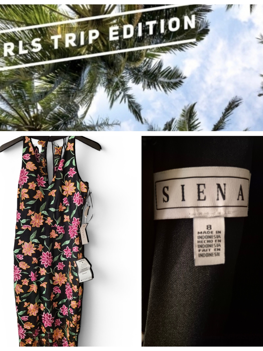 Girls Trip Edition: Floral Embroidered Mesh Dress